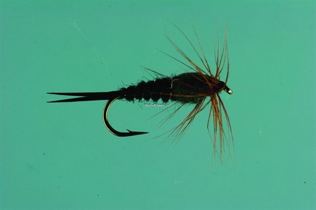 Picture of Jackson Cardinal Nymph Fly, #12, Black Stonefly