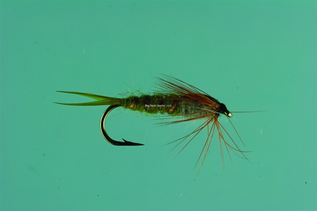 Picture of Jackson Cardinal Nymph Fly, #12, Olive Stonefly