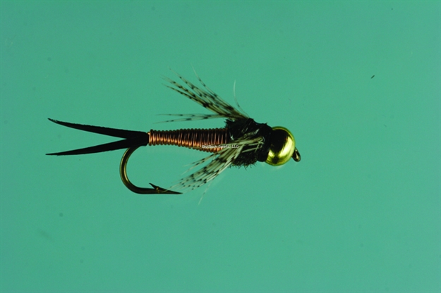 Picture of Jackson Cardinal Nymph Fly, #16, Copper John
