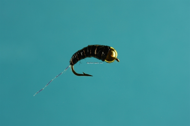 Picture of Jackson Cardinal Nymph Fly, #16, Zebra Nymph Black