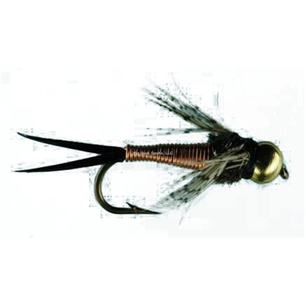 Picture of Jackson Cardinal Nymph Fly, #20, Copper John