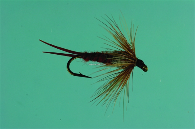 Picture of Jackson Cardinal Nymph Fly, #8, Brown Stonefly