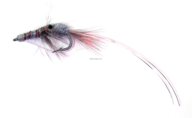Picture of Jackson Cardinal Saltwater Fly, #4, Shrimp Grey, 1/Card