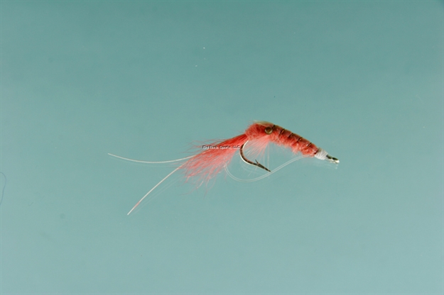 Picture of Jackson Cardinal Saltwater Fly, #4, Shrimp Pink