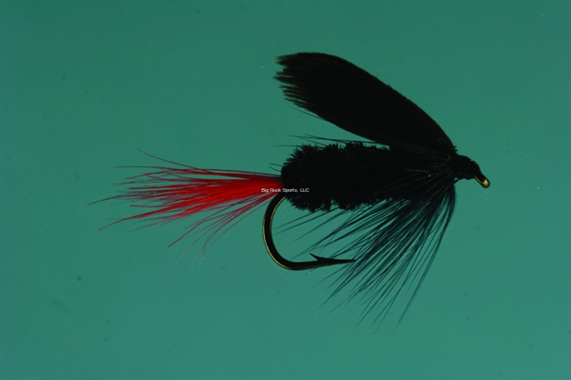 Picture of Jackson Cardinal Wet Fly, #12, Black Gnat Red Tail