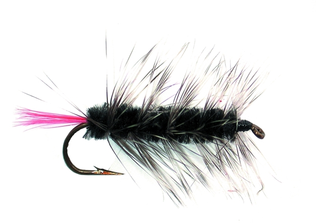 Picture of Jackson Cardinal Wooly Worm, #10, Black