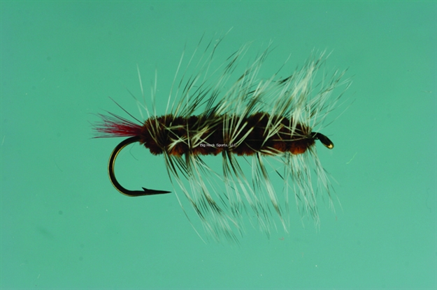 Picture of Jackson Cardinal Wooly Worm, #10, Brown
