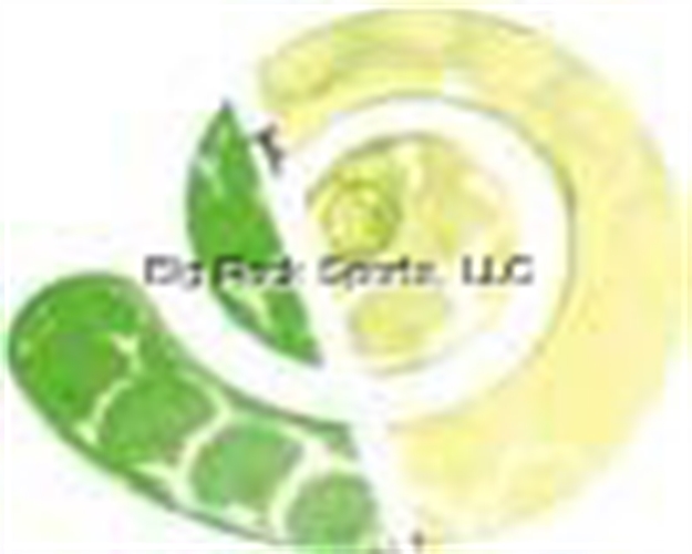 Picture of JB Lures Montana Rig 2-Hk Harness Chart/Lime Scale 6/Cd