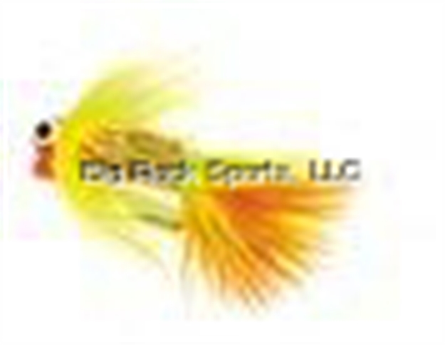 Picture of JB Lures Tiny Tickl'r Jig 1/16 Org/Chart 6/Cd