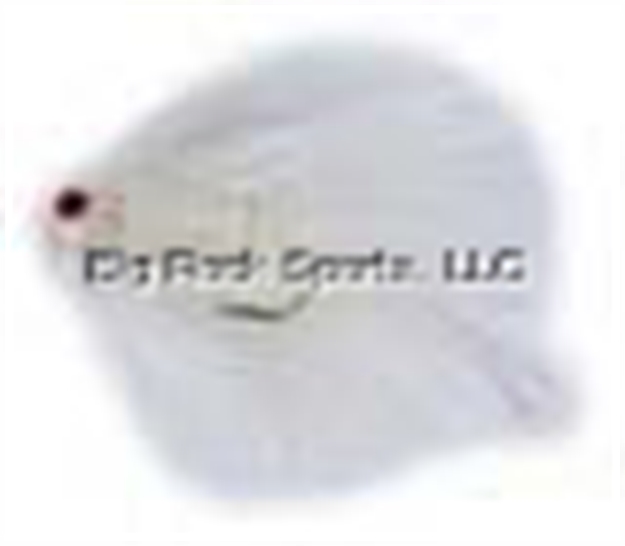 Picture of JB Lures Tiny Tickl'r Jig 1/16 OZ White 2/Pk