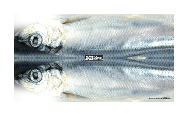 Picture of Jigskinz Foil Real Life Herring Mixed Pack Small, Med, Lrg, 3-Pack