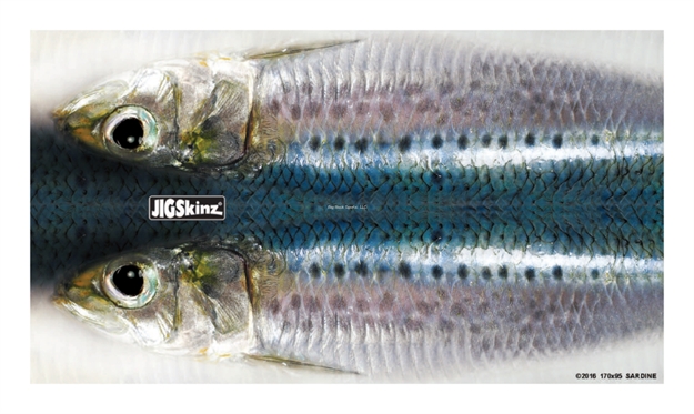 Picture of Jigskinz Foil Real Life Sardine Mixed Pack Small, Med, Lrg, 3-Pack