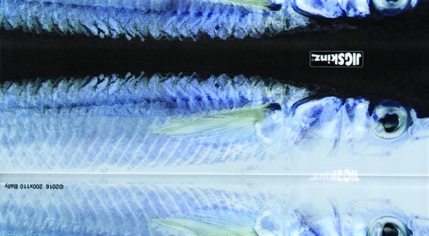 Picture of Jigskinz Real Life Ballyhoo 170 X 95Mm, 6 2/3" X 3 3/4" Medium, 4-Pack