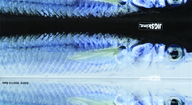 Picture of Jigskinz Real Life Ballyhoo 200 X 110Mm, 7 7/8" X 4 1/3" Large, 4-Pack