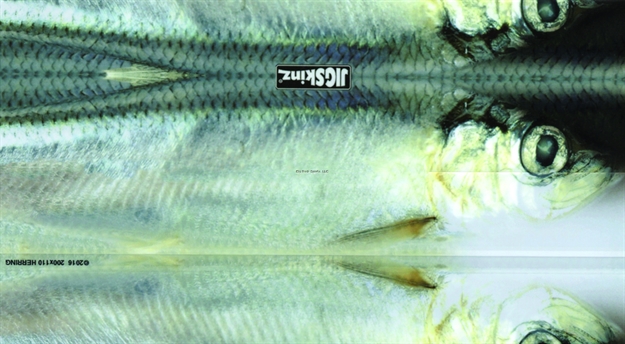 Picture of Jigskinz Real Life Baltic Herring 140 X 70Mm, 5 1/2" X 2 3/4" Small, 4-Pack