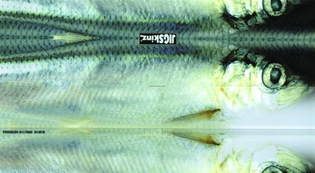 Picture of Jigskinz Real Life Baltic Herring 230 X 130Mm, 9" X 5 1/8" X-Large, 4-Pack