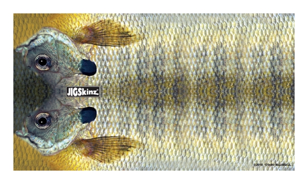 Picture of Jigskinz Real Life Bluegill Mixed Pack Small, Med, Lrg, X-Lrg, 4-Pack