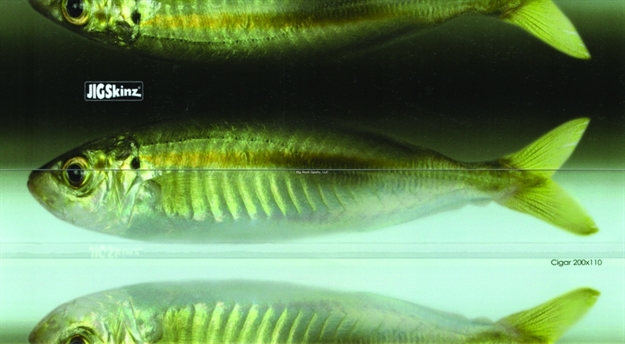 Picture of Jigskinz Real Life Cigar Minnow 170 X 95Mm, 6 2/3" X 3 3/4" Medium, 4-Pack