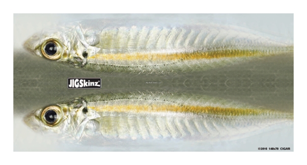 Picture of Jigskinz Real Life Cigar Minnow Mixed Pack Small, Med, Lrg, X-Lrg, 4-Pack