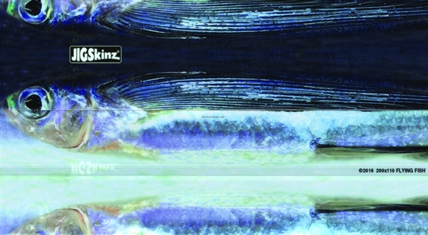 Picture of Jigskinz Real Life Flying Fish 170 X 95Mm, 6 2/3" X 3 3/4" Medium, 4-Pack