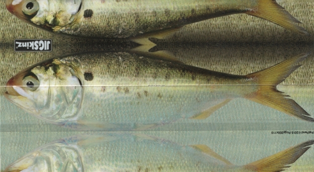 Picture of Jigskinz Real Life Menhaden 140 X 70Mm, 5 1/2" X 2 3/4" Small, 4-Pack