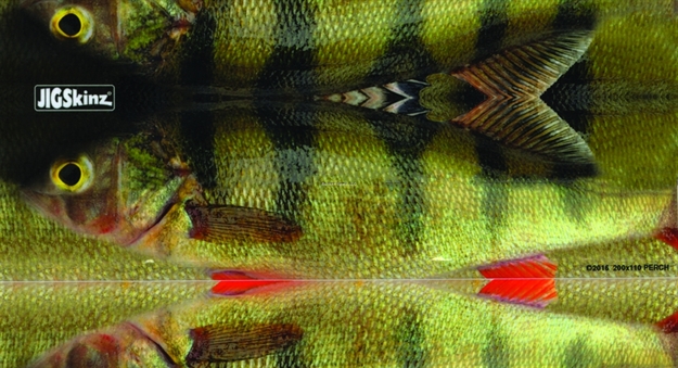 Picture of Jigskinz Real Life Perch 140 X 70Mm, 5 1/2" X 2 3/4" Small, 4-Pack