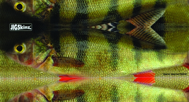 Picture of Jigskinz Real Life Perch 230 X 130Mm, 9" X 5 1/8" X-Large, 4-Pack