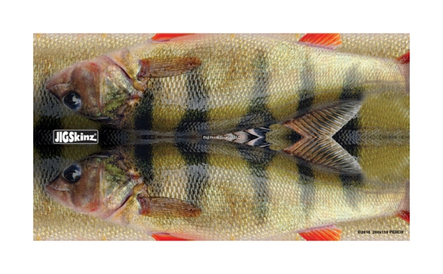 Picture of Jigskinz Real Life Perch Mixed Pack Small, Med, Lrg, X-Lrg, 4-Pack