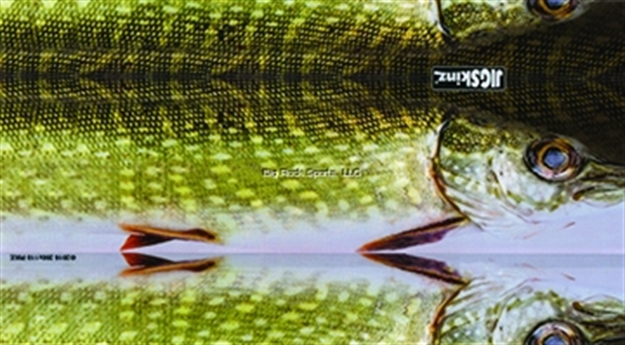 Picture of Jigskinz Real Life Pike 140 X 70Mm, 5 1/2" X 2 3/4" Small, 4-Pack