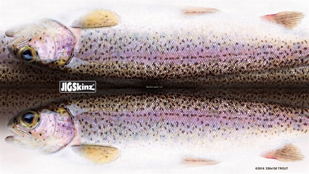 Picture of Jigskinz Real Life Rainbow Trout 170 X 95Mm, 6 2/3" X 3 3/4" Medium, 4-Pack