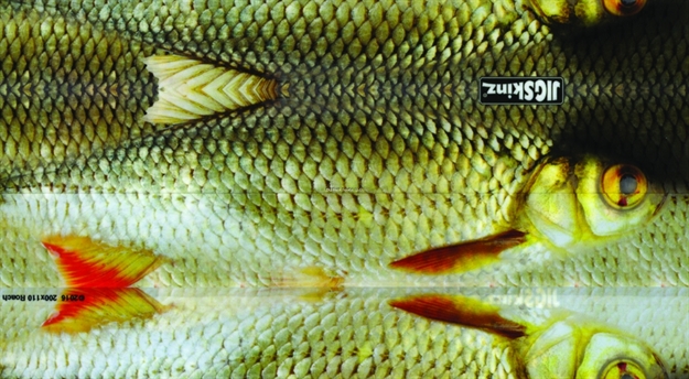 Picture of Jigskinz Real Life Roach 200 X 110Mm, 7 7/8" X 4 1/3" Large, 4-Pack