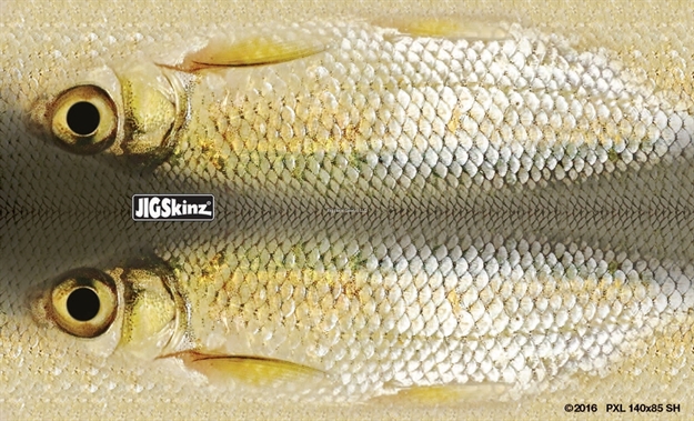 Picture of Jigskinz Real Life Shiner 170 X 95Mm, 6 2/3" X 3 3/4" Medium, 4-Pack