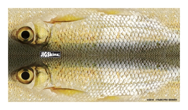 Picture of Jigskinz Real Life Shiner Mixed Pack Small, Med, Lrg, X-Lrg, 4-Pack