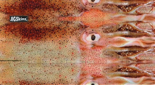 Picture of Jigskinz Real Life Squid 140 X 70Mm, 5 1/2" X 2 3/4" Small, 4-Pack
