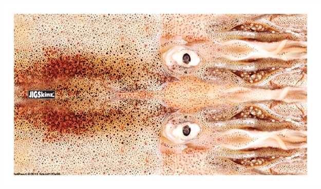 Picture of Jigskinz Real Life Squid Mixed Pack Small, Med, Lrg, X-Lrg, 4-Pack