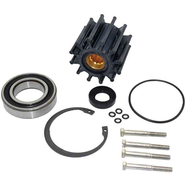 Picture of Johnson Pump Vol Pmp Rep KT 96000