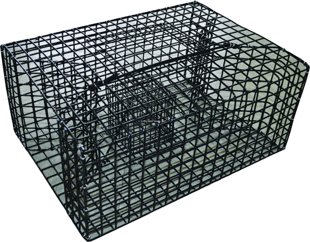 Picture of Joy Fish 18"X14"X8" Black Vinyl Coated Wire