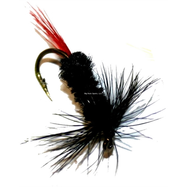 Picture of K&E Black Gnat, Size 12, Black/Red