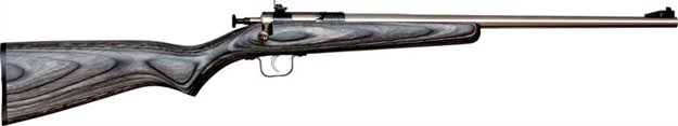 Picture of Keystone Youth Rifle, 22 Lr, Single Shot, 16.125" SS Barrel, EZ Loader, Scope Mount, Black Laminate Stock KSA2270 611613022701
