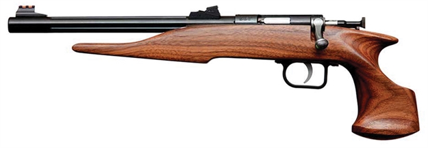 Picture of  Chipmunk 40001 Hunter  Youth Frame 22 S/L/Lr Single Shot 9" Threaded Blued Steel Barrel, Walnut Frame, EZ Loader 645221400019