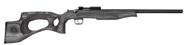 Picture of Keystone Sporting Arms Crickett 22Lr Bl/Black TH