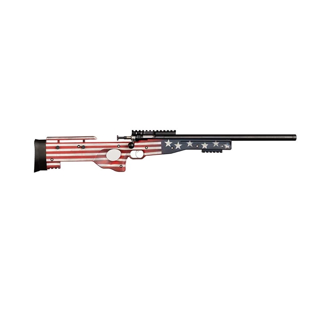 Picture of Keystone Sporting Arms Crickett Cpr 22Lr Old Glory KSA2150-OG