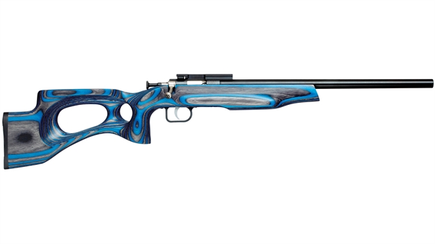 Picture of Crickett, Keystone Youth Rifle, 22 Lr, Single Shot, EZ Loader, Scope Mount, Target Model, 16.125"  Blued Bbl, Blue Lam KSA2549 611613025498