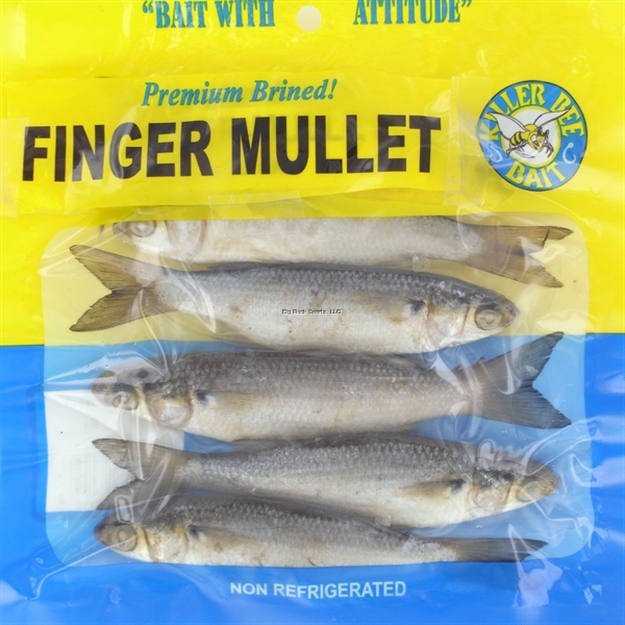 Picture of Killer Bee Premium Brined Bait Finger Mullet 6Pk