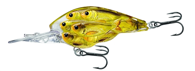 Picture of Livetarget Baitball Yearling Crankbait, 2 3/8", #4 Hooks, 1/2 Oz, Gold/Black, Floating YCB60M814