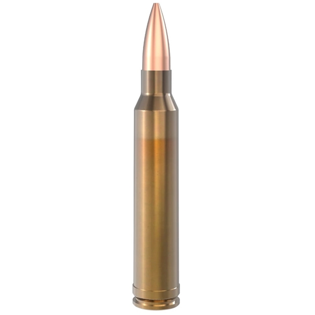 Picture of Lapua .300 Winchester Magnum 185Gr Scenar Otm Ammo Box OF 10 4317308