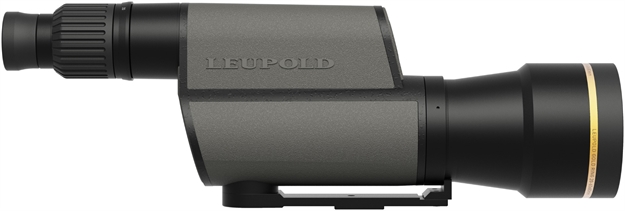 Picture of  Leupold 120376 Gold Ring  20-60X80mm Shadow Gray Straight Body