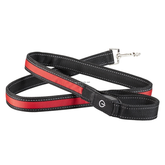 Picture of Lifegear Night Walker Usb Rechargeable Led Glow Leash, 48", Assorted Colors Rbg