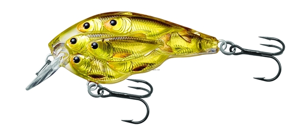 Picture of Livetarget Baitball Yearling Crankbait, 2 3/8", #4 Hooks, 1/2 Oz, Gold/Black, Floating