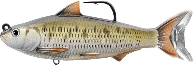 Picture of Livetarget Common Shiner Swimbait, 6", 10/0 Hook, 2 1/4 Oz, Silver/Bronze, Medium Slow Sinking